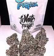 Best white truffle strain1