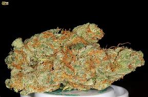 AK 47 Strain