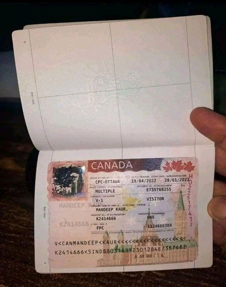 All Countries Visa For Sale